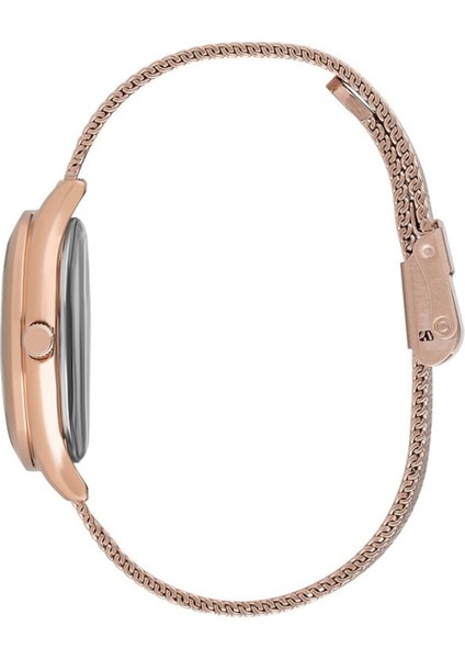 BP3167C.420 Kadın Kol Saati fiyatları