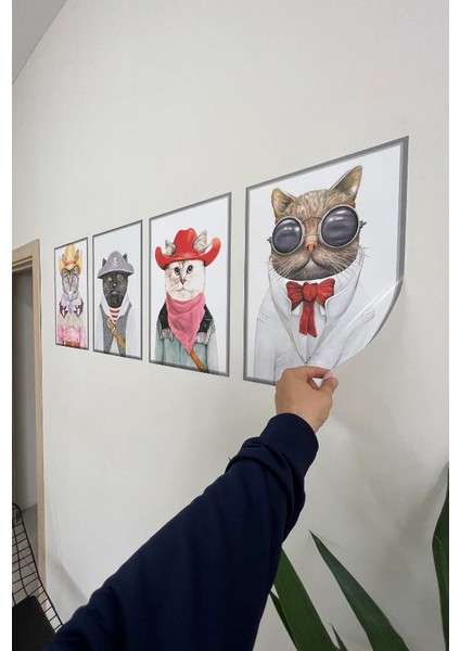 Çerçeve Görünümlü Statik Tutunma Özellikli 4 Lü Kediler 35 - 50 cm