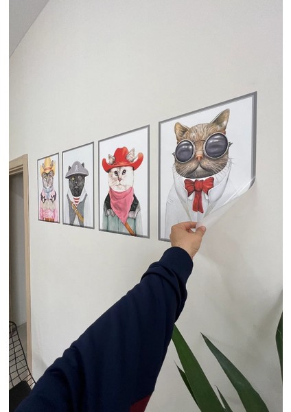 Çerçeve Görünümlü Statik Tutunma Özellikli 4 Lü Kediler 35 - 50 cm