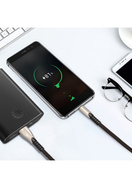 Type C Hızlı Şarj Qc3.0 Veri Senkronizasyon Kablosu Android Telefon Için Çinko Alaşım Kablosu (Yurt Dışından) fiyatları