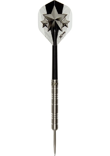 World Champion 21 G Dart Oku Seti