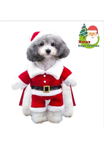 Noel Köpek Paltosu (L) (Yurt Dışından) fiyatları