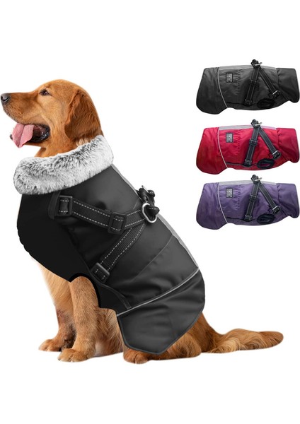 Dog Isıtıcı Siyah-L (Yurt Dışından)