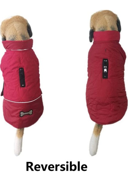 Çift Taraflı Pet Red-Xs Pamuklu Ceket (Yurt Dışından) modelleri