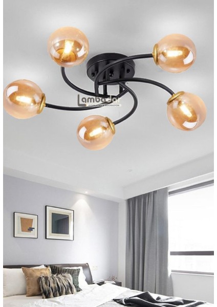 Luxury Model Plafonyer Beşli Siyah Modern Bal Camlı Avize