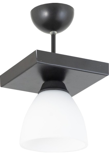 Ikili Dikdörtgen Siyah Spor Model Modern Avize