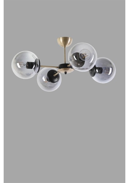 Modern Dörtlü Füme Glop Camlı Gold-Siyah Avize