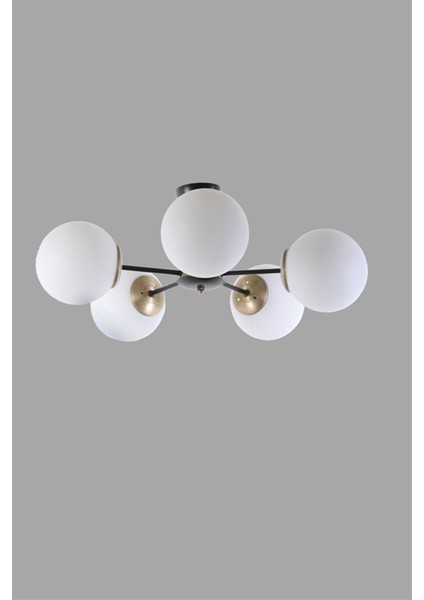 Modern Beşli Beyaz Glop Camlı Gold-Siyah Avize