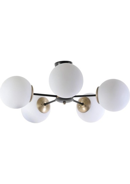Modern Beşli Beyaz Glop Camlı Gold-Siyah Avize fiyatları