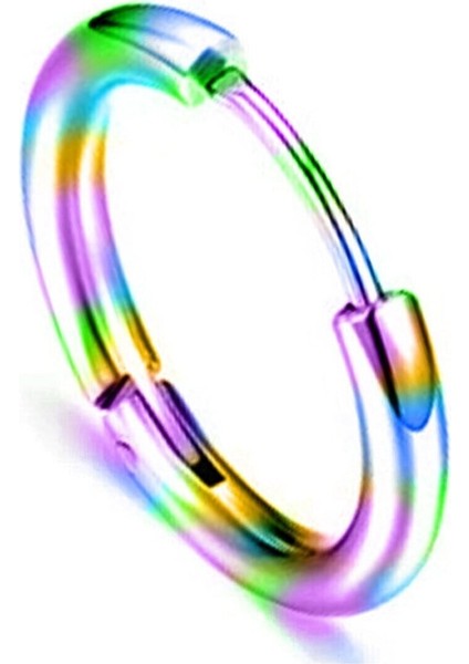Unisex Cerrahi Çelik 12 mm Halka Küpe