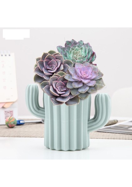 Kaktüs Figürlü Masaüstü Mini Sukulent Saksı - Kalemlik Plastik