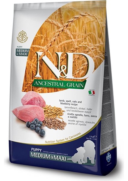 Nd Ancestral Graın 12kg köpek Düşük Tahıllı Kuzu Etli Yaban Mersini Medium Maxi Puppy Yavru Köpek Maması