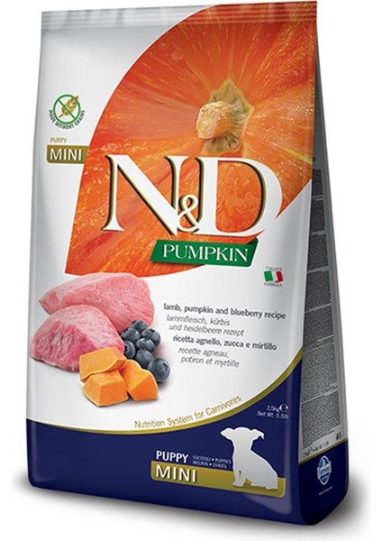 Nd Pumpkin 7kg köpek Tahılsız Mini Puppy Kuzu Bal Kabağı ve Yaban Mersinli Ufak Irk Yavru Köpek Maması