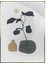 Saksıda Yapraklar Açık Tonlar Modern Poster P-000915 1