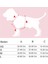 Karnaval Easy Walk Köpek Göğüs Tasması 3