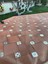 10X10 Desenli Dekoratif Seramik 5'li 1 Paket ICS167 3