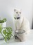 Seramik Kedi ve Köpek Mama Su Kabı Colorful Moon Bowl (Siyah Çizgili -Ebru Desen) 1