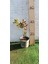 Fırça Çalısı BITKISI(40-60CM) 3