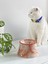 Seramik Kedi ve Köpek Mama Su Kabı Colorful Moon Bowl (Turuncu Çizgili -Ebru Desen) 1