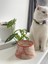 Seramik Kedi ve Köpek Mama Su Kabı Colorful Moon Bowl (Turuncu Çizgili -Ebru Desen) 2