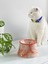 Seramik Kedi ve Köpek Mama Su Kabı Colorful Moon Bowl (Turuncu Çizgili -Ebru Desen) 4