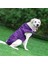 Köpek Mor Yağmurluk (S) (Yurt Dışından) 3