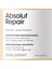 Loreal Professionnel L'oreal Professionnel Expert Absolut Repair Yıpran 2