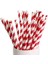 Kırmızı Beyaz Çizgili Karton Pipet 19,5x0,6 cm 1