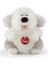Fluffy Dog TUDH0000 1