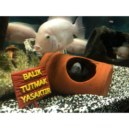 ATG Store Akvaryum Dekoru - Balık Tutmak Yasaktır Yazısı (Ahşap Desenli)