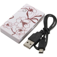 Teenspirit Hepsi En1 Multi - Lector Tarjeta Memoria Adaptador USB 2.0 Cf Sd Mını Tf Sd Mmc Ms (Yurt Dışından)