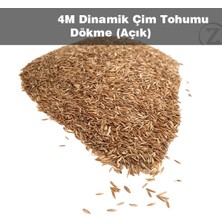 Çim Tohumu 3 Kg Dinamik 6m Dayanıklı Yoğun Basılan Alanlar Için Ideal Çim Tohumu