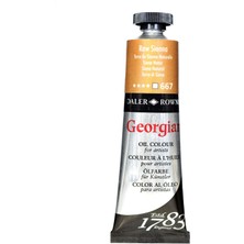 Daler Rowney Georgian Yağlı Boya 38ML 667 Raw Sienna