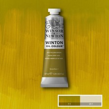 Winsor & Newton Yağlı Boya 37 ml 280 Azo Yellow Green