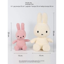 Miffy Tavşan Peluş Oyuncak Bebek Yatıştırıcı Bebek Bez Bebek (Yurt Dışından)