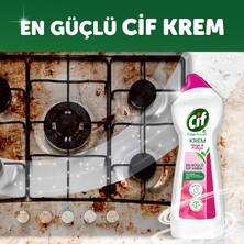 Cif Frezya ve Müge Çiçeği Krem Temizleyici 750 ml