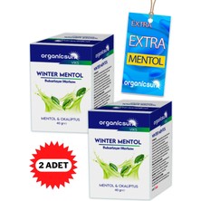 Organicsun Winter Mentol Buharlaşan Merhem Viks Vicks Vikis Mentol ve Okaliptus 40 gr x 2 Adet