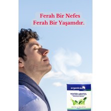 Organicsun Winter Mentol Buharlaşan Merhem Viks Vicks Vikis Mentol ve Okaliptus 40 gr x 2 Adet