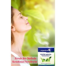 Organicsun Winter Mentol Buharlaşan Merhem Viks Vicks Vikis Mentol ve Okaliptus 40 Grx 3 Adet