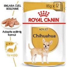 Royal Canin 6 Adet Bhn Chihuahua 85 gr