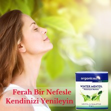 Organicsun Winter Mentol Buharlaşan Merhem Viks Vicks Vikis Mentol ve Okaliptus 40 gr