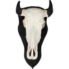 Dericibey Beyaz Buffalo Dekoratif Kafa