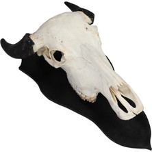 Dericibey Beyaz Buffalo Dekoratif Kafa