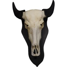 Dericibey Dekoratif Buffalo Kafa