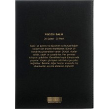 Balık Burcu Yıldız Haritası Siyah Defter