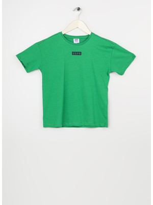 U.S. Polo Assn. Baskılı Yeşil Erkek Çocuk T-Shirt Kamedakids