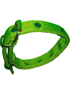 Efe 40 cm X2CM Süslu Yavru Tasma Yeşil
