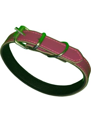 Efe 45 cm X2,cm Düz Küçük Tasma Pembe