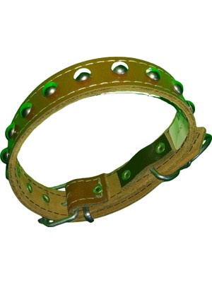 Efe 45 cm X2,5 cm Düz Küçük Tasma Turuncu