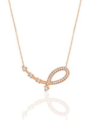 Söğütlü Silver Gümüş Rose Zirkon Taşlı Yıldız Haritası Kolye
